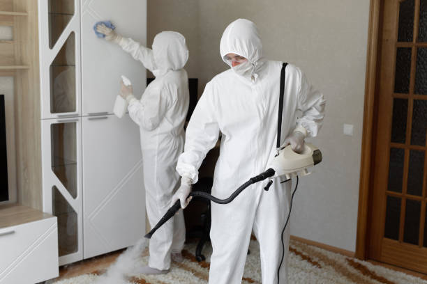 24/7 Emergency Odor Removal experts in Camino, CA